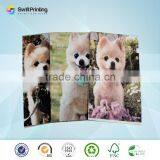 China Wholesale English Coloring Book