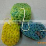 Colourful and Washing Car Sponge