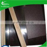 Two Time Hot Press Film Faced Plywood Dubai Plywood thumbnail-2