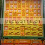 Apt Exim Safety Wooden Matches With 40 Sticks Match Box thumbnail-2