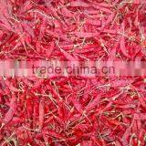 CHILI PEPPER thumbnail-4