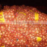 Fresh Yellow Onion to Dubai thumbnail-3