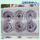 Natural Preserved Fresh Flowers Preserved Roses Wholesale thumbnail-5