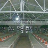 Automatic Chicken Machine for Chicken Farming Equipment/pan Feeding System thumbnail-4
