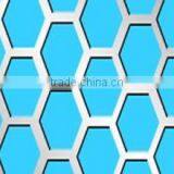 Punching Hole Meshes