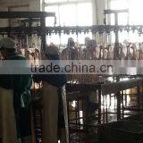 Best Quality Stainless Steel Poultry Slaughter House for 500bph 1000bph thumbnail-1