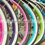Colorful Top Quality Inflatable 20 Inch Bicycle/bike Tire thumbnail-1