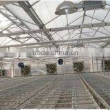Flower Greenhouse Use Motor Power Ceiling Exhaust Cooling Fan thumbnail-4