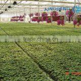 Venlo Roof Agricultural Polycarbonate Sheet Greenhouse thumbnail-3