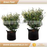 Home Decoration Plant Pot,eco Garden Plant Pot thumbnail-1