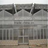 Large Sawtooth Type Greenhouse Plastic Film for Sale Types of Greenhouses thumbnail-1