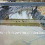 Hot Sale HDPE Geomembrane HDPE Sheet . thumbnail-3