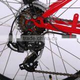 26inch 36V 250W Steel Frame Cheap Electric Bike for Sale thumbnail-6