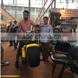 2017 Latest Popular off Road e City Scooter E-bicycle Motorcycle Citycoco for Sale thumbnail-1