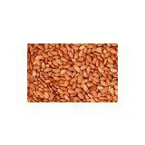 Amygdalin thumbnail-3