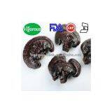 100% High Quality Lucidum Spore Powder Extract/ganoderma Lucidum Spore Powder/ganoderma Lucidum Spore Extract thumbnail-3