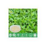 Stevia Plant Extract thumbnail-1