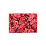 Barberry Juice Concentrate With High Quality