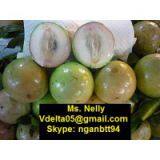 Vietnamese Star Apple
