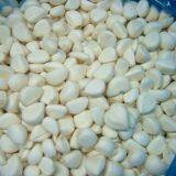 Frozen Peeled Garlic Cloves thumbnail-3