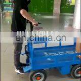 Wide Range of Heavy-duty Electric Carts/Electric Greenhouse Trolley