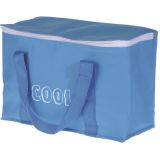 Replacement Ice Packs Cooler Bags With Speakers Cooler Bags and Boxes thumbnail-1
