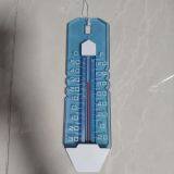Swimming Pool Floating Thermometer