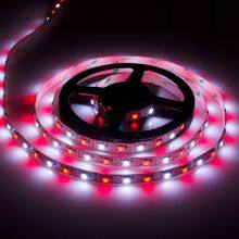 DC 12V 60 Leds/M LC8808B 5050 RGB 60 Pixel MultiColor Indoor Decor Ambient Digital Rgb Led Strip Various Effect Ws2815 Led Strip thumbnail-3
