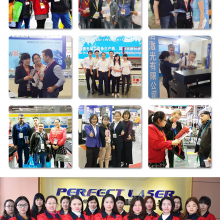 Perfect Laser Desktop 20W 30W 50W Stainless Carbon Aluminium Brass Surface Acrylic Animal Ear Tag Fiber Laser Marking Machine thumbnail-5