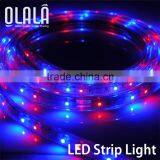 2015 New Design SMD3528 RGB ROHS Flexible LED Strip Light thumbnail-4