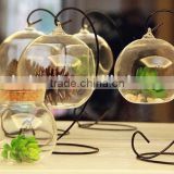 clear glass vase,different types glass vase,clear glass hanging vases                        
                                                Quality Choice