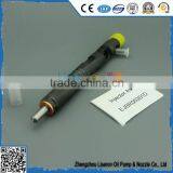 ERIKC F5000-1112000 Common Rail Injector F5000-1112100-011 Engine Injection Bico Injector EJBR05301D thumbnail-3