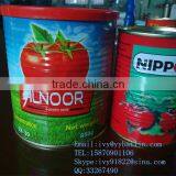 Canned Tomato Paste,brix:22-24%,24-26%,28-30%,hot Sell Africa thumbnail-3