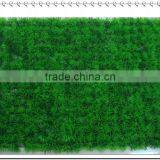 Fake Grass thumbnail-1