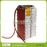 Lifepo4 60v 12Ah for 2500W