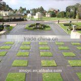 Bluestone thumbnail-6