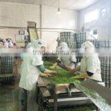 Yichang Tianyuan Canned Food Co., Ltd. company overview - view 2 thumbnail