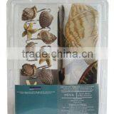 Double Blister Packing Polyester Shower Curtain and Resin Hooks