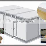 New Technology Walk in Freezer Cold Storage