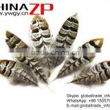 CHINAZP Bulk Sale Selected Prime Quality Natural 5-10cm Size Reeves Venery Pheasant Feathers for DIY Decorations thumbnail-3