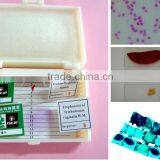 Microscope Biological Teaching Slides