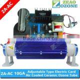 ceramic ozone generator cell 10g air water sterilizer with price