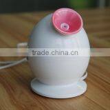 Beauty Salon Equipment,Portable Facial Steamer