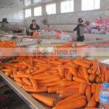 Qingdao W.R.Y Industry Trading Co., Ltd. company overview - view 1 thumbnail