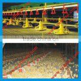 Factory Price Broiler Floor Growing System
