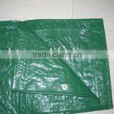 pe Tarpaulin thumbnail-1