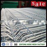 3D Security PVC Coated Welded Wire Mesh Fence (Factory Exporter) thumbnail-2