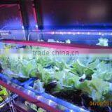MarsHydro Waterproof ETL Certificated Led 60 Cm/120 cm Grow Bar thumbnail-1