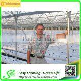 Gutter Height Commercial Polycarbonate Greenhouse for Used thumbnail-2