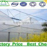 Commercial Metalic Greenhouse thumbnail-6